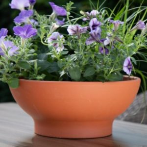 Terracotta Euro Bowl