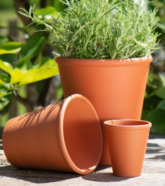 Terracotta Rose Pot