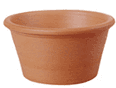 Terracotta Mini Border Pot