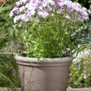 Basalt Cylinder & Lip