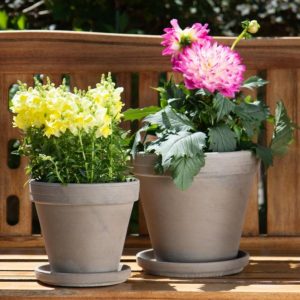 Basalt Clay Standard Pot