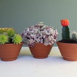 Lined Terracotta bowl